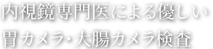 内視鏡専門医による優しい　胃カメラ・大腸カメラ検査