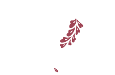 内科･内視鏡検査　山科西まつい内科クリニック